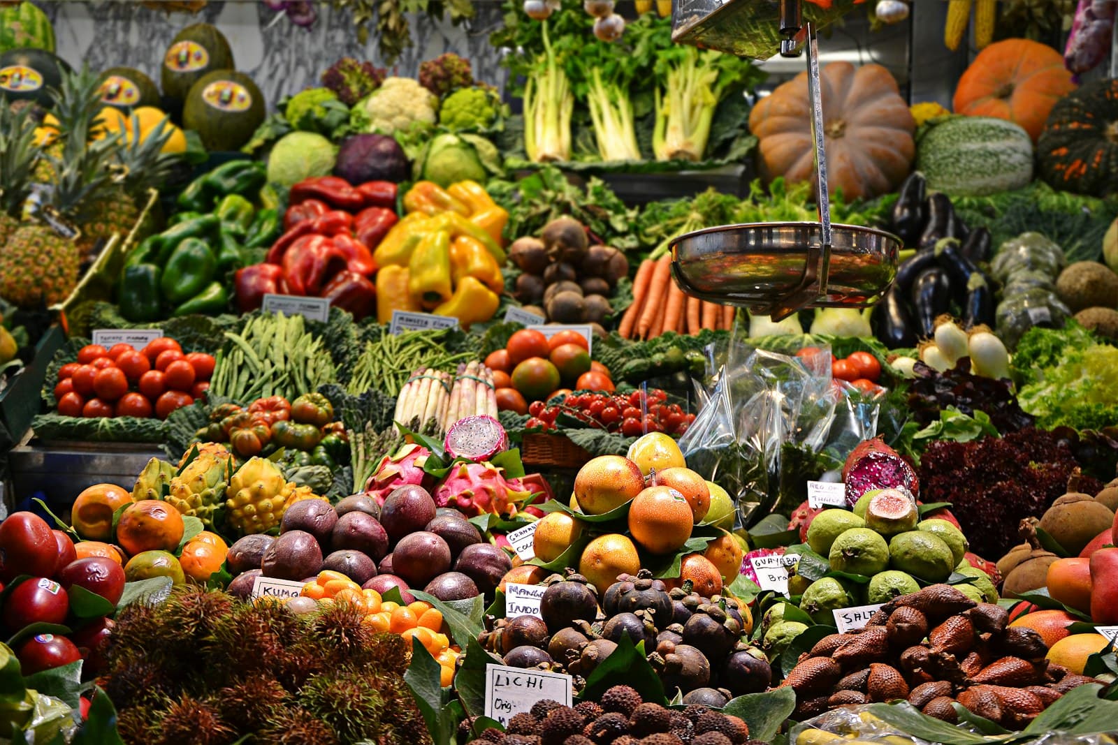 The Food Supply Growth System — Clozo Academy 90-day revenue growth course