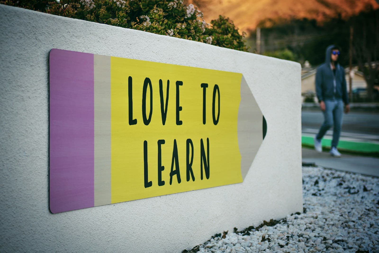 The Language School Growth System — Clozo Academy 90-day revenue growth course