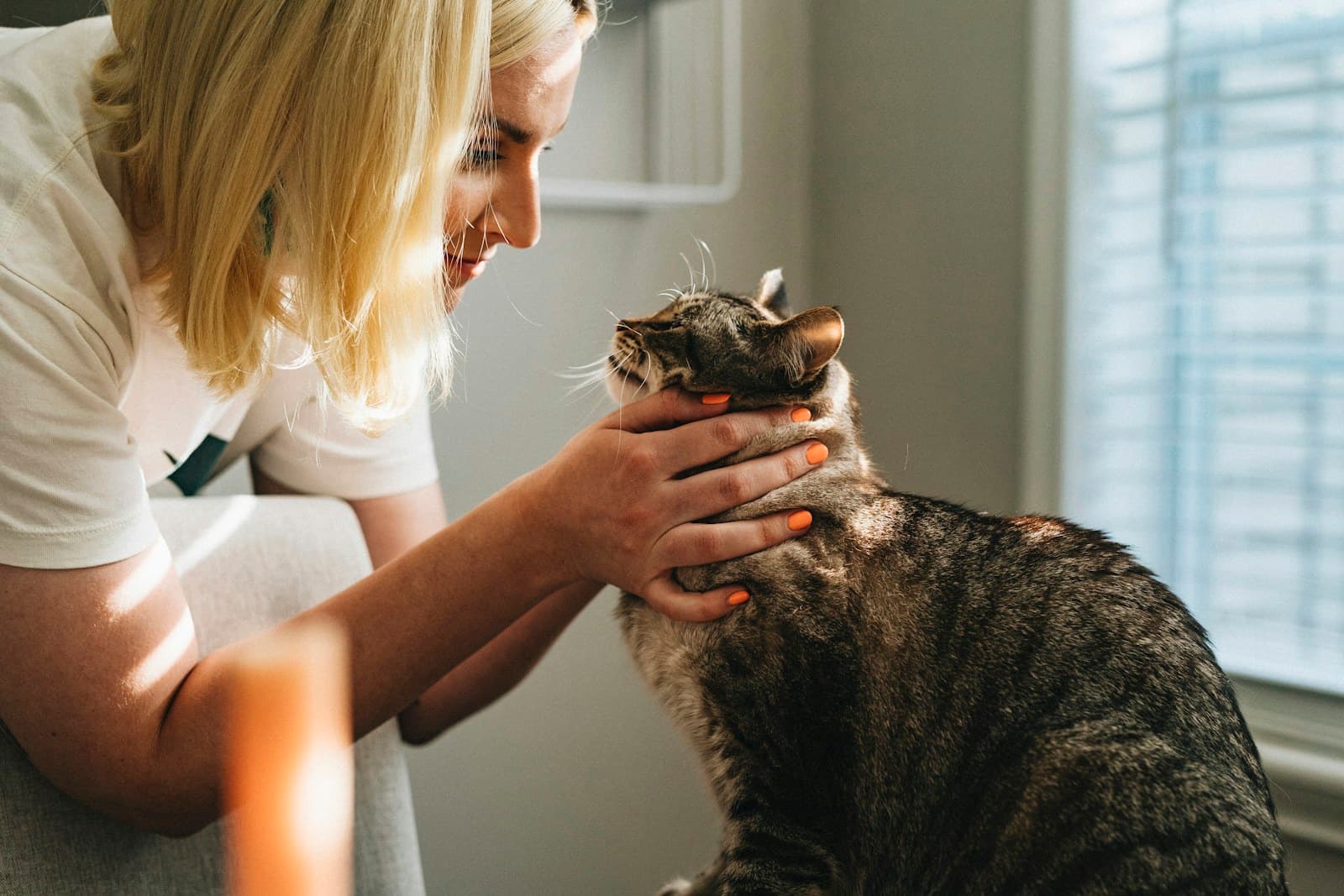 The Veterinary Practice Growth System — Clozo Academy 90-day revenue growth course